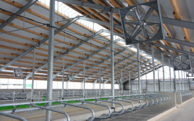 Why You Should Choose Steel-Framed Buildings for Agriculture